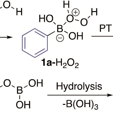 Boronic Acids 